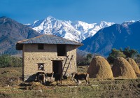 Mountain hut and cattle in the Indian Himalayas