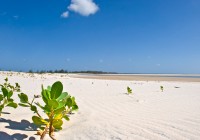 A pristine Mozambique beach
