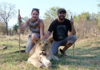 A couple with a lion cub on the Walking with Lions experience in Victoria Falls