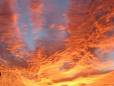 Sunset at Siwa oasis