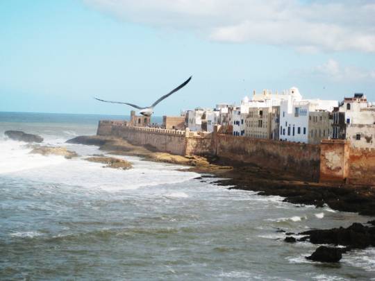 Surf the New Year - 11 Days
