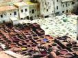 Tanneries, Fes