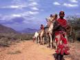 An African lady leads a family on horseback