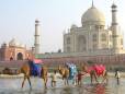 Taj Mahal & camels