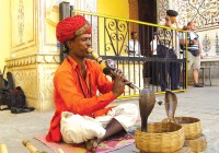 A snake charmer turns on the charm