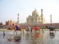 People leading their camels past the Taj Mahal