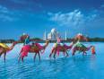 A brightly coloured camel caravan in front of the Taj Mahal