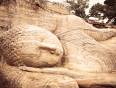 The giant reclining Buddha at Polonnaruwa