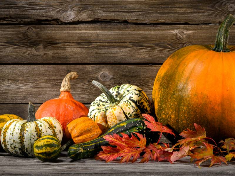 Thanksgiving Vacations 2023 & 2024 On The Go Tours