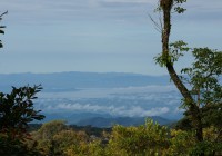 Monte Verde Cloud Forrest in Costa Rica goes on for miles.