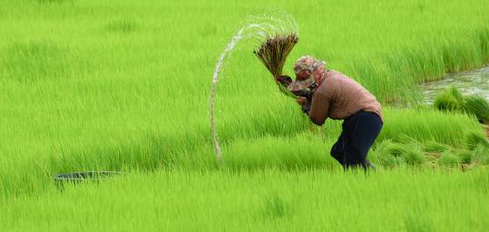 Discover China's rural heartland and meet the locals who work it on holiday in China