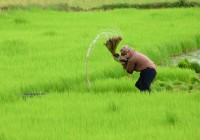 Discover China's rural heartland and meet the locals who work it on holiday in China