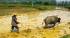 A farmer tending to his crops in Guilin