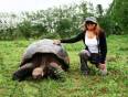A lady stands with a giant tortoise