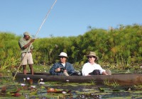 Travelling through the Okavango Delta in a mokoro