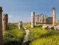 The Temple of Artemis, Jerash