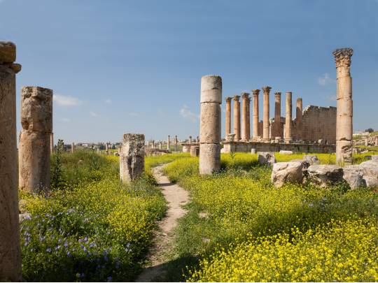 Treasures of the Lost City - 7 Days