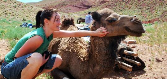 A girl scratches a happy camel's face whilst on a trek in Morocco