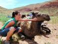 A girl scratches a happy camel's face whilst on a trek in Morocco