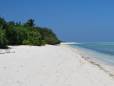 Tropical vegetation meets the sea on the Lakshadweep Islands.