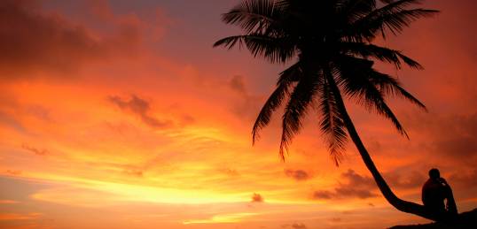 A dramatic orange, pink and gold sunset with the silhouette of a palm tree