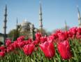 Explore Turkey on a Day Tour. 