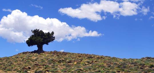 A Moroccan landscape