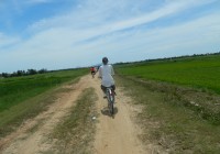 See the best of the Vietnamese countryside on a rural cycling tour