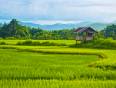 The beautiful rice paddy fields of rural Laos - seen on our Laos Tours.