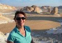 The White Desert