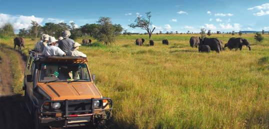 On safari in the Serengeti