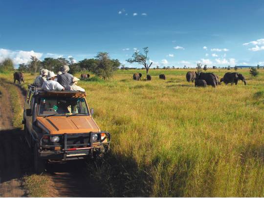 Wild About Tanzania - 10 Days