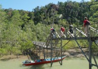 Take the jungle trail leading up to the treetop canopy walkways in Sepilok National Park.