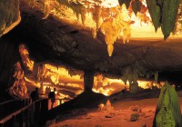 Langs cave in Borneo - a highlight of one of our Borneo Tours