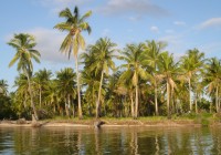 The beautiful tropical coastline of Mozambique