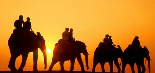A sunset elephant ride in Africa - an amazing experience on an African Safari