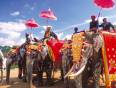 Men on highly decorated elephants under pink umbrellas
