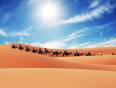 A camel caravan in the Sahara Desert