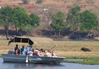 Head out in a boat along the Chobe River for some excellent wildlife spotting.