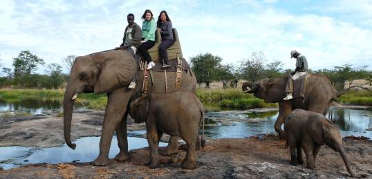 Girls on an elephant safari in Victoria Falls