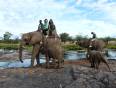 Girls on an elephant safari in Victoria Falls