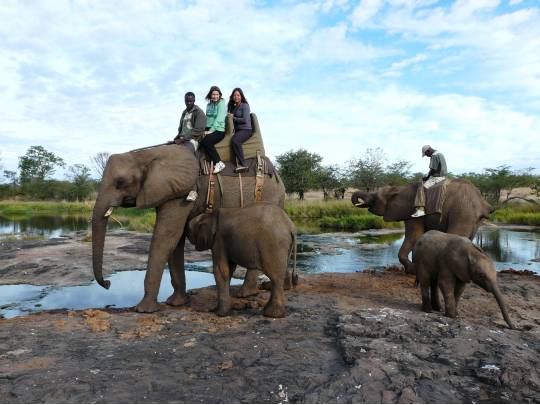 Zimbabwe to Zanzibar - 16 Days