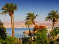 The sea framed by palm trees in Aqaba