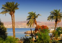 The sea framed by palm trees in Aqaba
