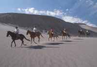 Horse riding across the barren landscape of the Atacama desert on our Chile Tours