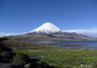 The almost perfectly symmetrical peak of Volcan Parinacota overlooking Chungara Lake near Putre