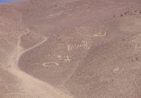 The Pintados geoglyphs displaying animal drawings and other figures in Chile