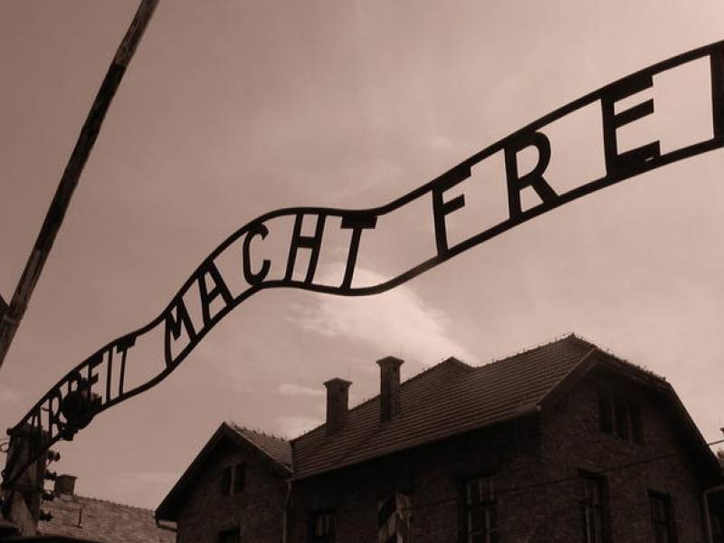 Auschwitz One Day Tour from Warsaw On The Go Tours
