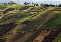The multi-coloured agricultural fields around the thermal town of Banos on an Ecuador Tour