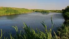 Waterway in Azraq